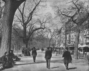 Tremont Street e The Common, Boston, USA, c1900