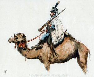 Soldato del corpo di cammelli dell