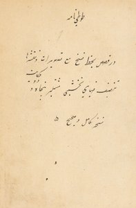 Tuti-Nama, racconti di un pappagallo, c. 1560 da Unbekannt