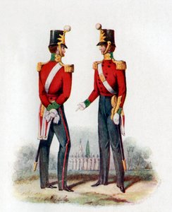 Uniforme del 19° Reggimento