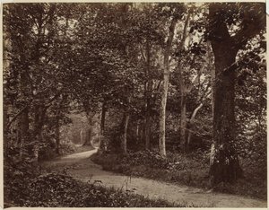 Paesaggio Senza Titolo, primi anni 1860 da Unbekannt