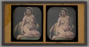 Ritratto di una Donna Nuda
