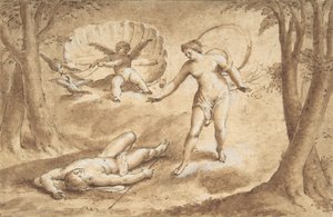 Venere scopre la morte di Adone, XVII secolo