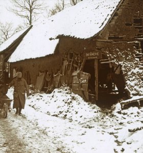 Stazione veterinaria per cavalli, Calonne, nord della Francia, c1914-c1918 da Unbekannt