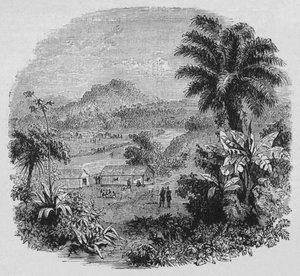 Veduta di Caienna, c1880