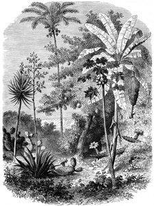 Veduta della costa spagnola, Guatemala, 1877 da Unbekannt