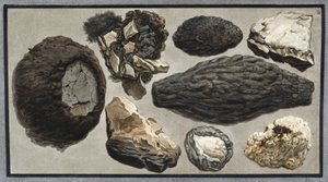Materiale vulcanico dal Monte Vesuvio da Unbekannt