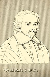 W. Harvey da Unbekannt