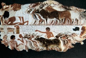 Affresco dalla tomba di Nebarunun, Tebe, Egitto