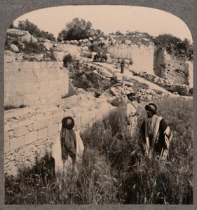 Mura di Augusto, Samaria
