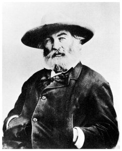 Walt Whitman, poeta americano, c1866 1955 da Unbekannt