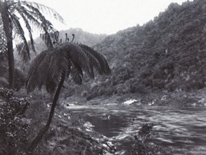 Fiume Wanganui, fine XIX - inizio XX secolo da Unbekannt