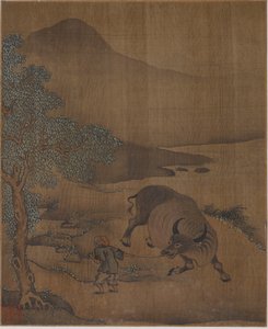 Bufalo d