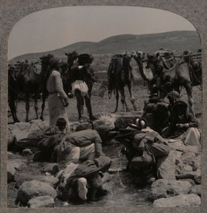 Abbeveramento dei cammelli al pozzo di Giacobbe, c1900 da Unbekannt