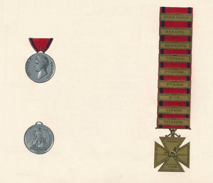 Medaglia di Servizio Generale Militare di Waterloo 1793-1814, XIX secolo
