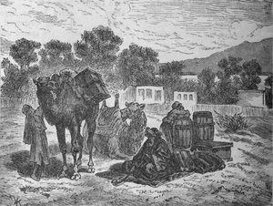 Pozzi di Mosè, vicino a Suez, c1882