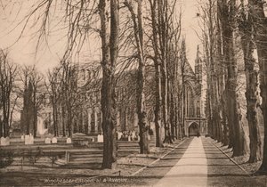 Cattedrale di Winchester e Viale, Hampshire, inizio XX secolo da Unbekannt