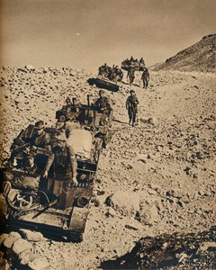 Con gli uomini di Anderson in Tunisia, 1943 da Unbekannt