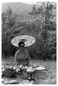 Donna sotto un parasole che fa un picnic, c1950-1969 da Unbekannt