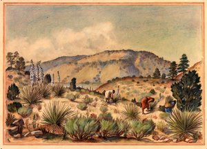 Donne che raccolgono piante di yucca, XX secolo