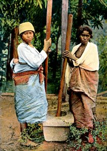 Donne che pestano il riso, Madagascar, fine XIX secolo
