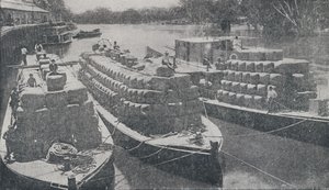 Chiatte di lana sul fiume Murray, 1923 da Unbekannt