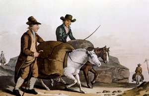 Mercante di lana che porta 