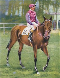Zoltan, fantino: M. Beary, 1939 da Unbekannt