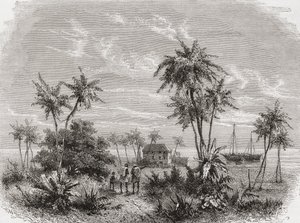 Casa di David Livingstone a Zanzibar, Tunisia, Africa orientale, illustrazione da 