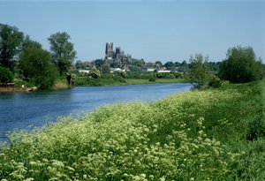 Cattedrale di Ely e il fiume Ouse