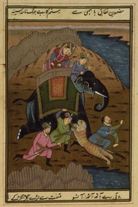 Imperatore Akbar (1556-1608) a caccia di tigri, dall