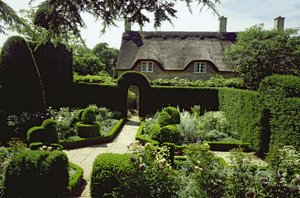Casa e giardino