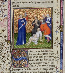 Un dottore con i suoi pazienti, da Des Proprietez des Choses, c.1415 da Unbekannt Unbekannt