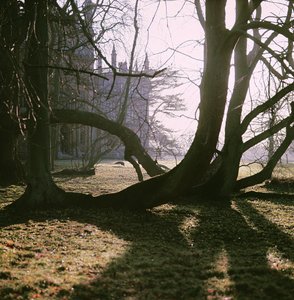 Veduta della Facciata Nord, Corsham Court, Wiltshire da Unbekannt Unbekannt