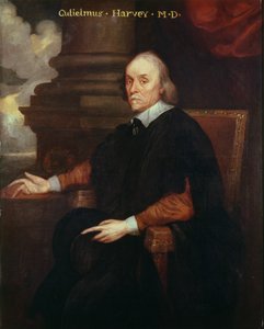 William Harvey (1578-1657) medico reale, XVII secolo da Unbekannt Unbekannt