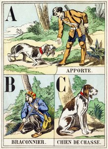 A B C: Porta, Bracconiere, Cane da caccia - L