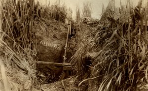 Nascondiglio di un cecchino britannico in un campo di grano che mostra il conteggio delle uccisioni nemiche da Unbekannt