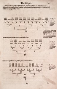 Una semplice e facile introduzione alla musica pratica da Unbekannt