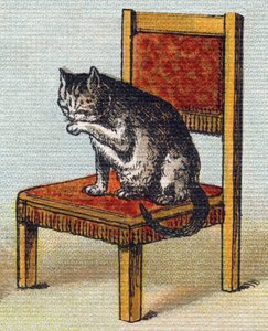 Un gatto su una sedia. Incisione in "Alphabet de ma petite fille". Bernardin-Bechet e Fils, librai-editori, Parigi, circa 1895. Album infrangibile su tela. Bibliotheque des Bebes. 12 pagine. Album contenente un metodo di lettura e un abecedario illustrativ da Unbekannt