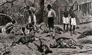 Una grande giornata di caccia! 1900 da Unbekannter Künstler