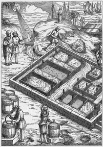 Una palude salata nel XVI secolo (incisione)