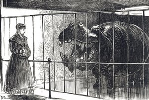 Una donna ai Giardini della Società Zoologica di Regent