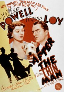 Locandina del film L