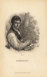 Alexander von Humboldt, esploratore, naturalista e botanico tedesco