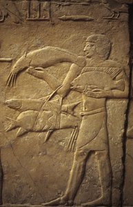 Antico Egitto: Saqqara: necropoli dell