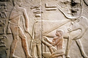 Antico Egitto: Saqqara: necropoli dell