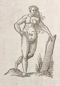 Androgino da Unbekannt