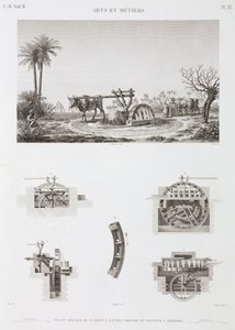 Irrigazione a energia animale, Egitto, c. 1798 da Unbekannt