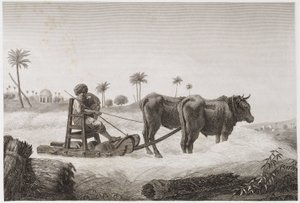 Agricoltura arabile, raccolta Trebbiatrice, Egitto, c. 1798 da Unbekannt