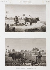 Agricoltura arabile, aratura, trebbiatrice e aratro, Egitto, c 1798 da Unbekannt